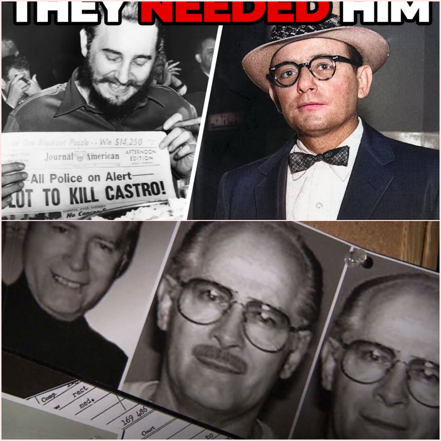 Why The CIA Hired The Mob To Do Their Dirty Work (The Castro Plot) HT