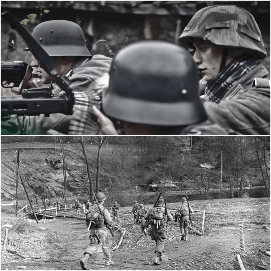 Hürtgen Forest: The Longest US Battle On German Soil DD