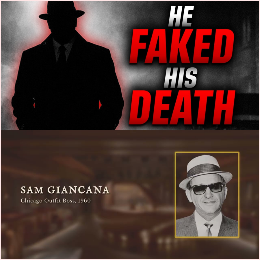 The Chicago Mob Boss Who Faked His Own Death and Lived 12 More Years -HT