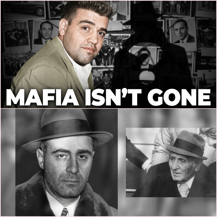 The Forgotten Gang That Still Runs New York — In 2026  HT