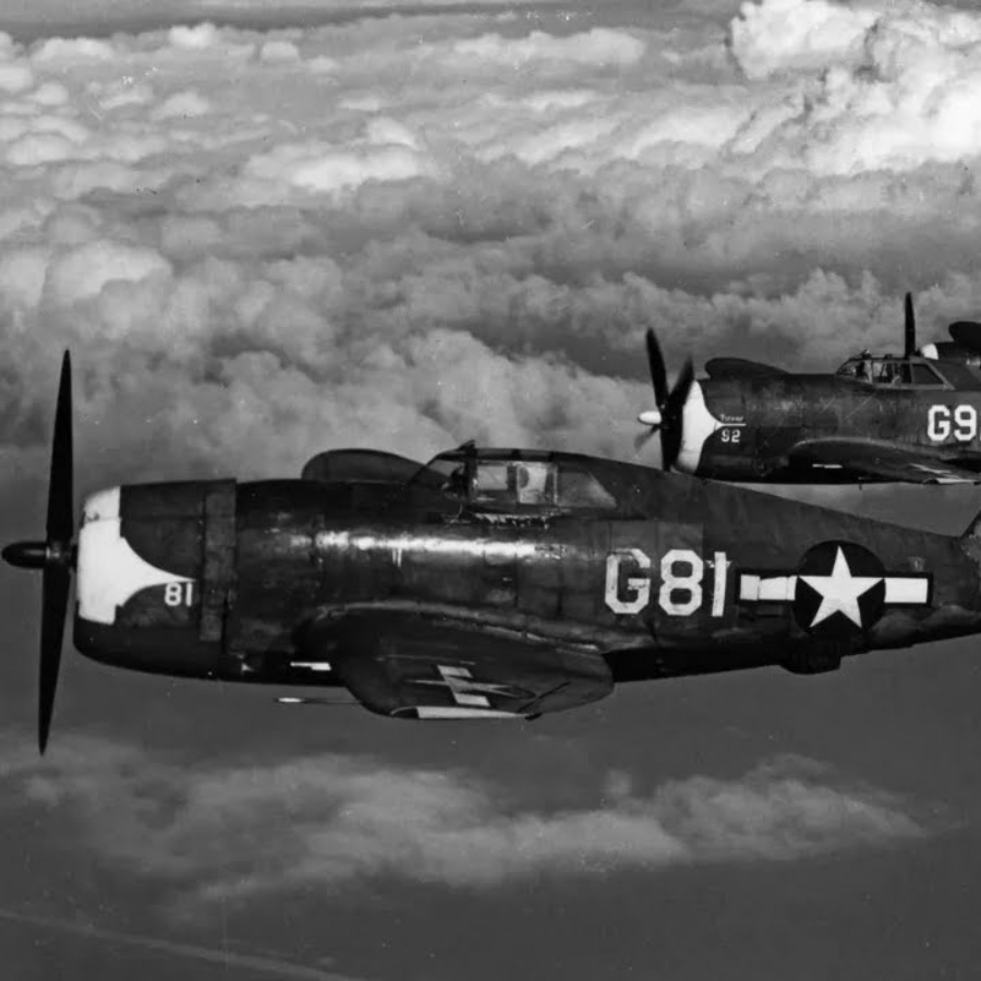 German Pilots Laughed At The P-47 Thunderbolt, Until Its Eight .50s Rained Lead on Them DD