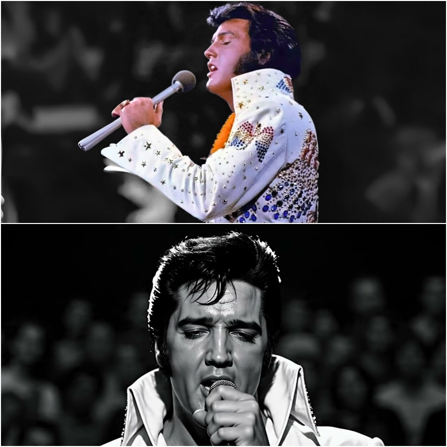 Baltimore, 1977: Elvis Presley’s Saddest Show — and the Audience Never Forgot DD