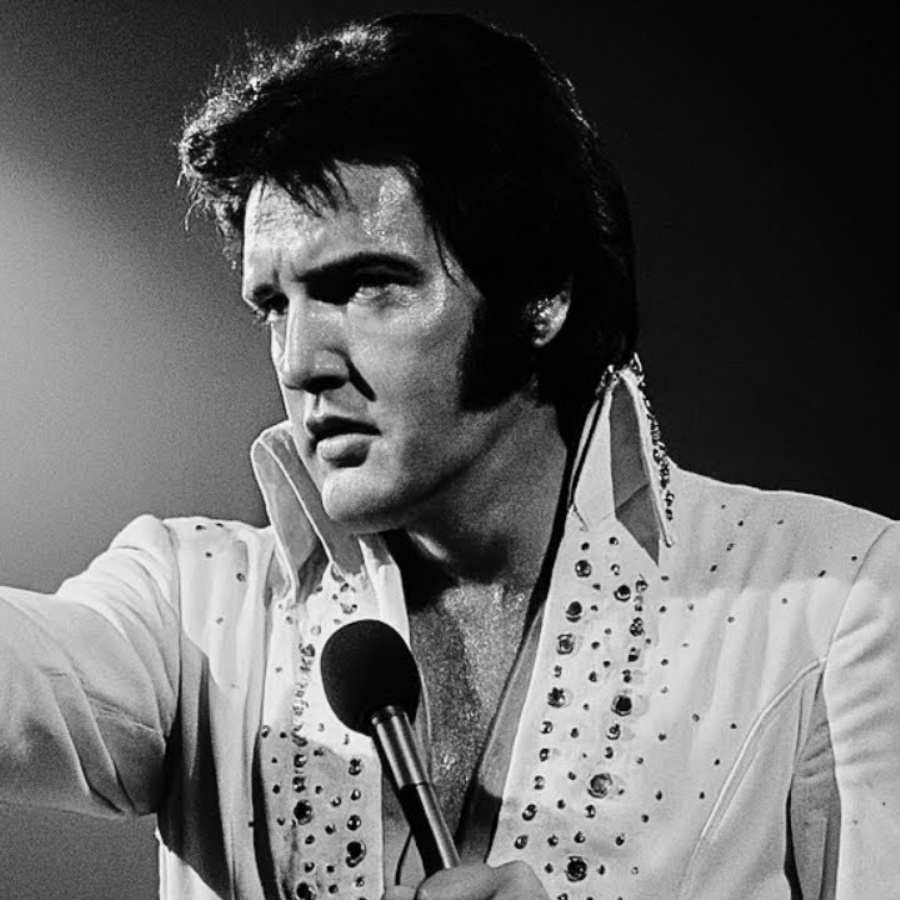 Elvis Stopped Concert When He Saw THIS in Audience — Security Couldn’t Believe It DD