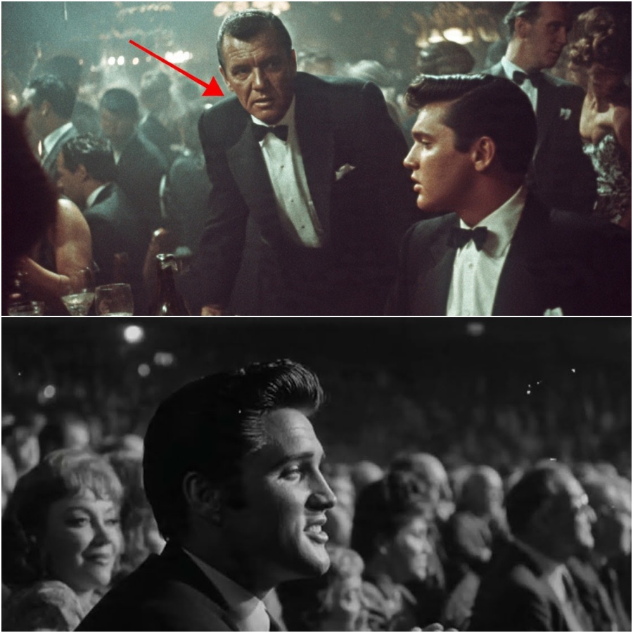 Frank Sinatra Humiliated Elvis Presley on Stage—Elvis’s Response Was Pure Class DD