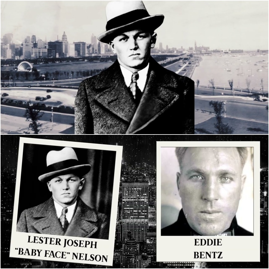 The Insane Story of Baby Face Nelson: Public Enemy Number One DD