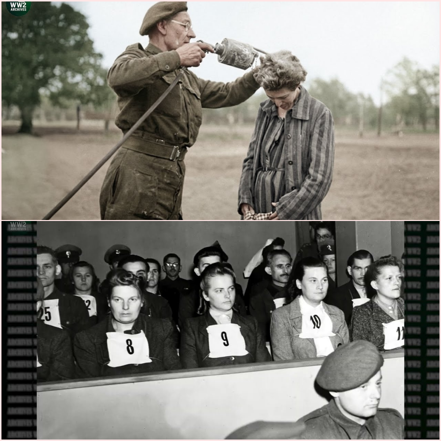 The Horrifying Mystery Behind the Brutal Execution of Female Guards at Bergen-Belsen HT