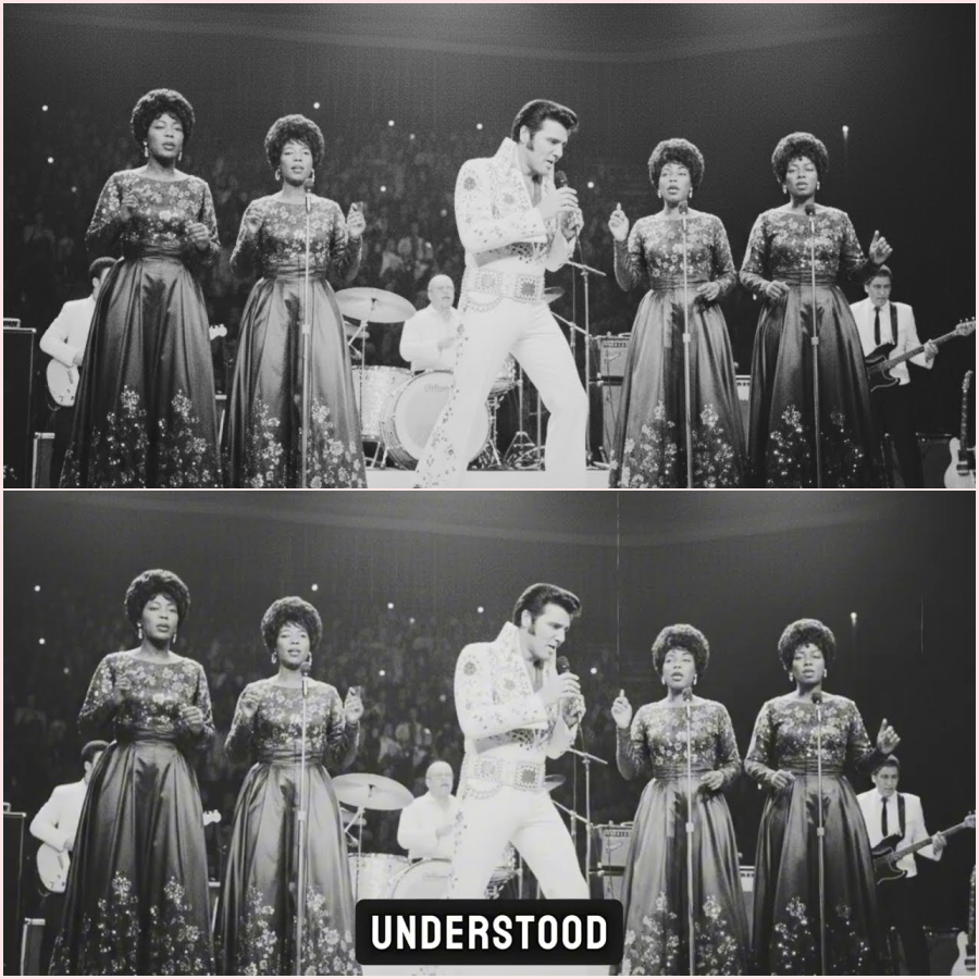 Elvis STOPPED entire Concert After Racist Slur — What He Did Next Changed History (Montgomery 1969) HT