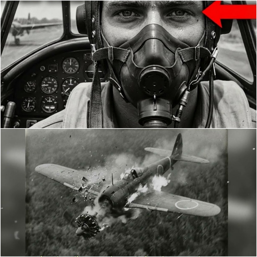 “We Can’t Shake Him!” — Japanese Radios Broke as One P-38 Refused to Disengage DD
