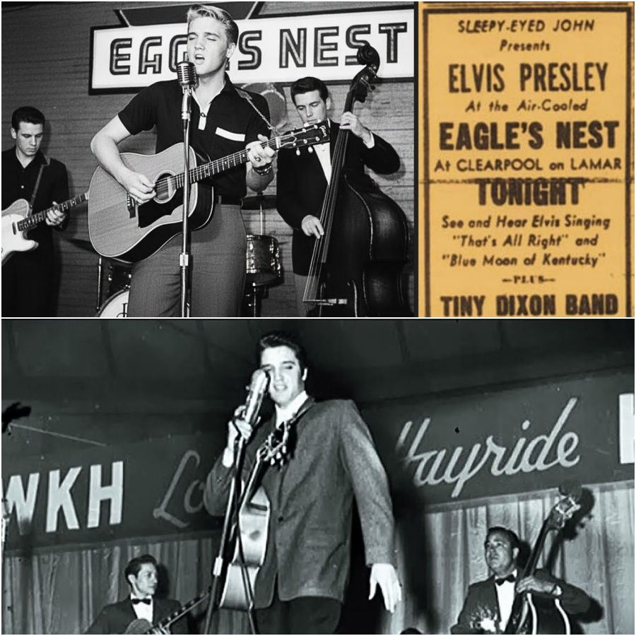 Elvis Presley FIRST LIVE Performance on Louisiana Hayride DD