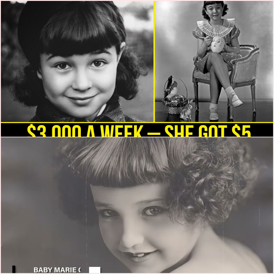 12 Child Stars Robbed by the Adults They Trusted  HT