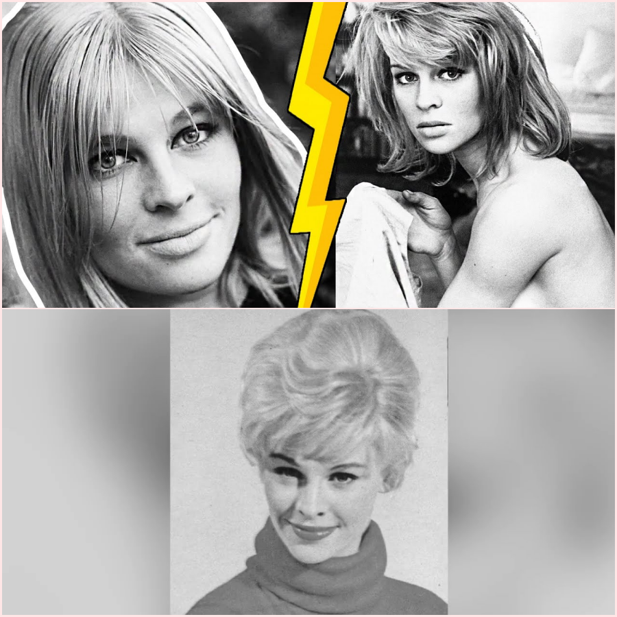 Why Julie Christie’s BED SCENE Caused a Public Outrage?  HT