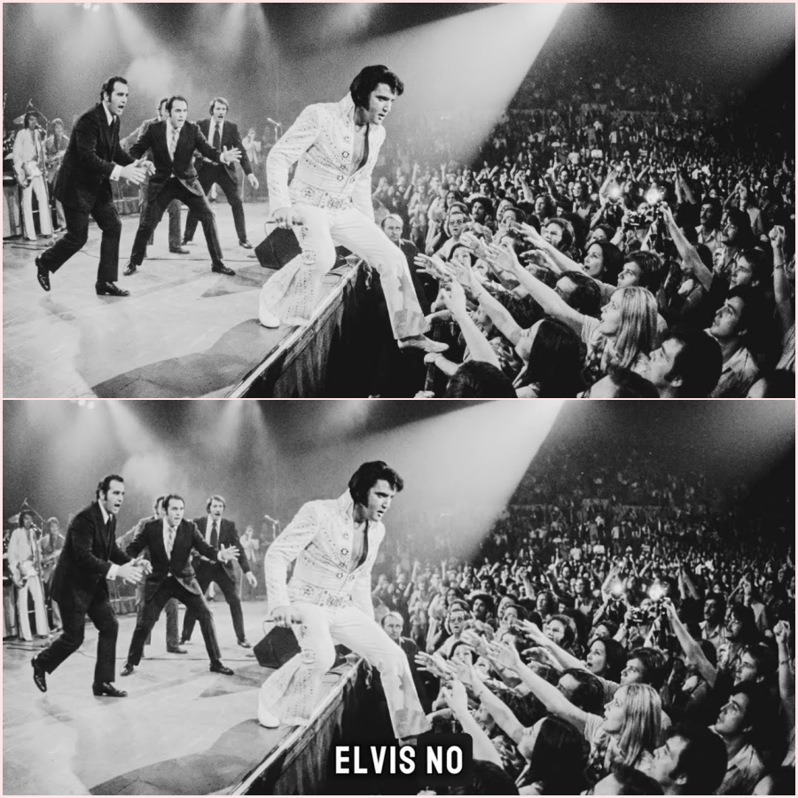 Elvis STOPPED Singing When He Saw THIS — What He Did Next Made 15,000 Fans Stand Up HT