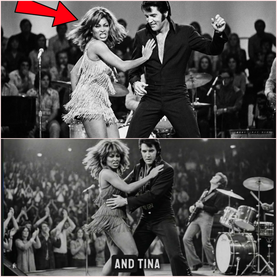 Tina Turner CHALLENGED Elvis to Keep Up With Her on Stage — What Happened Left the Arena BREATHLESS ht