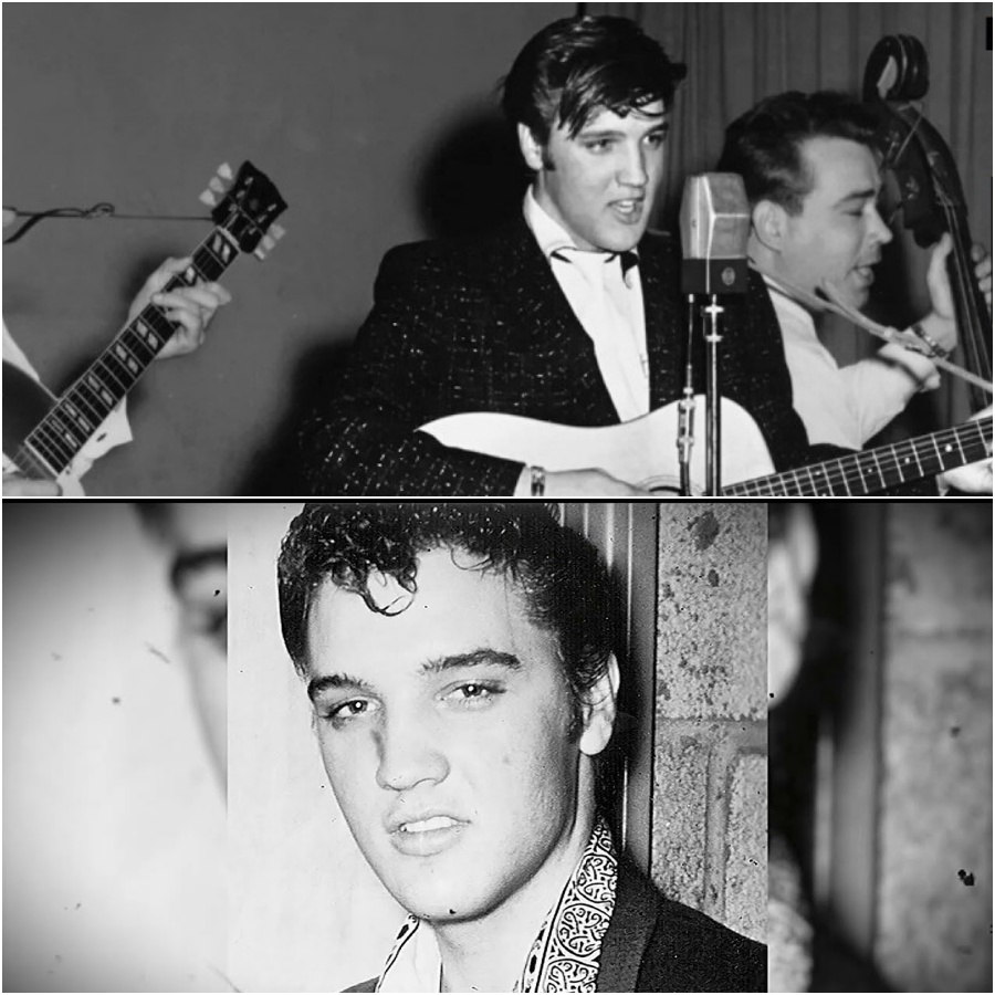 Elvis at 19: The Opry Said “No” — Two Weeks Later, History Changed DD