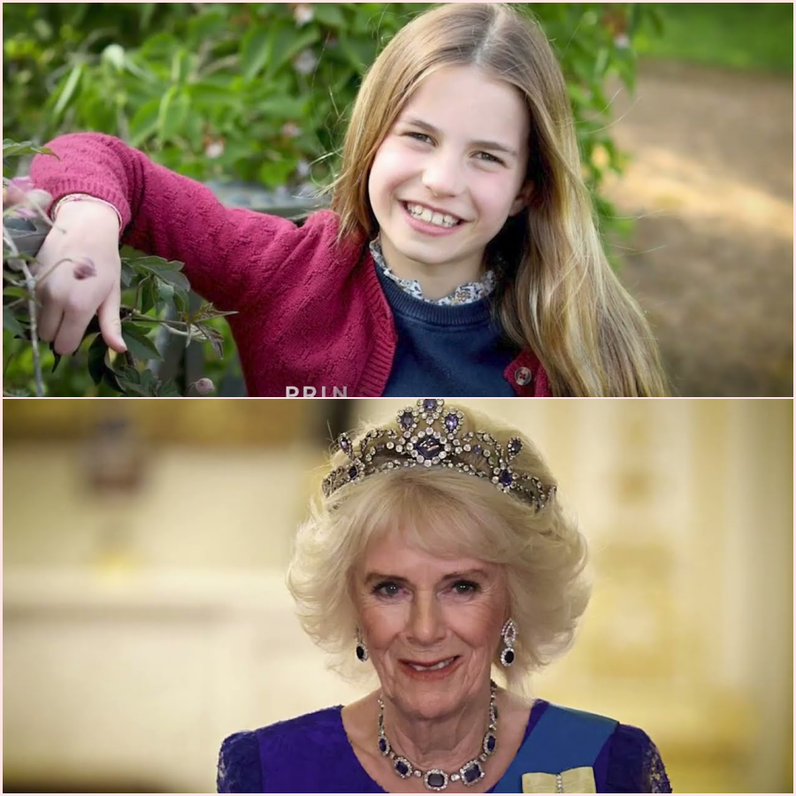 From Dream to Denial: The Jewels Queen Elizabeth Never Let Happen! ht