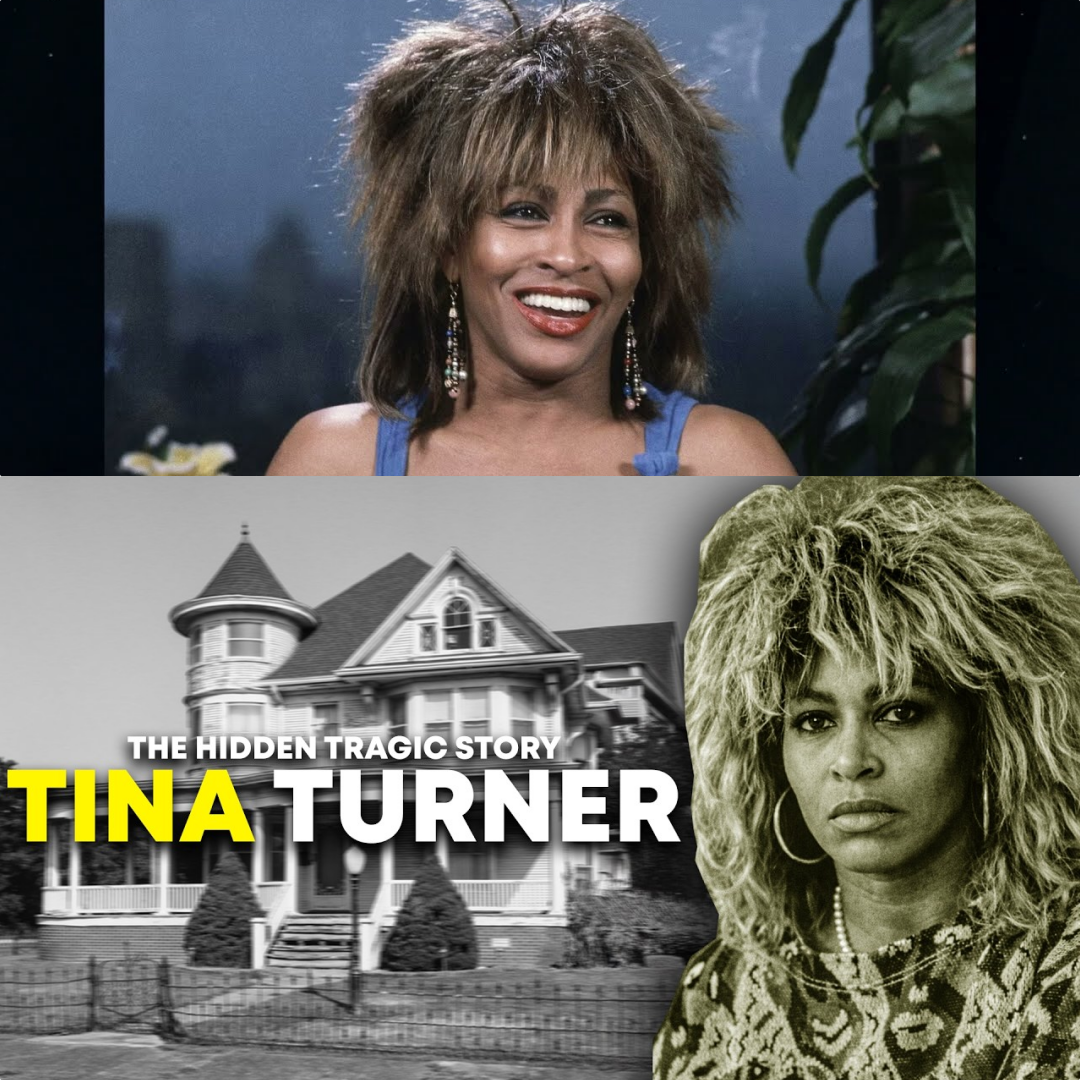 The Hidden Disturbing Life of Tina Turner JJ