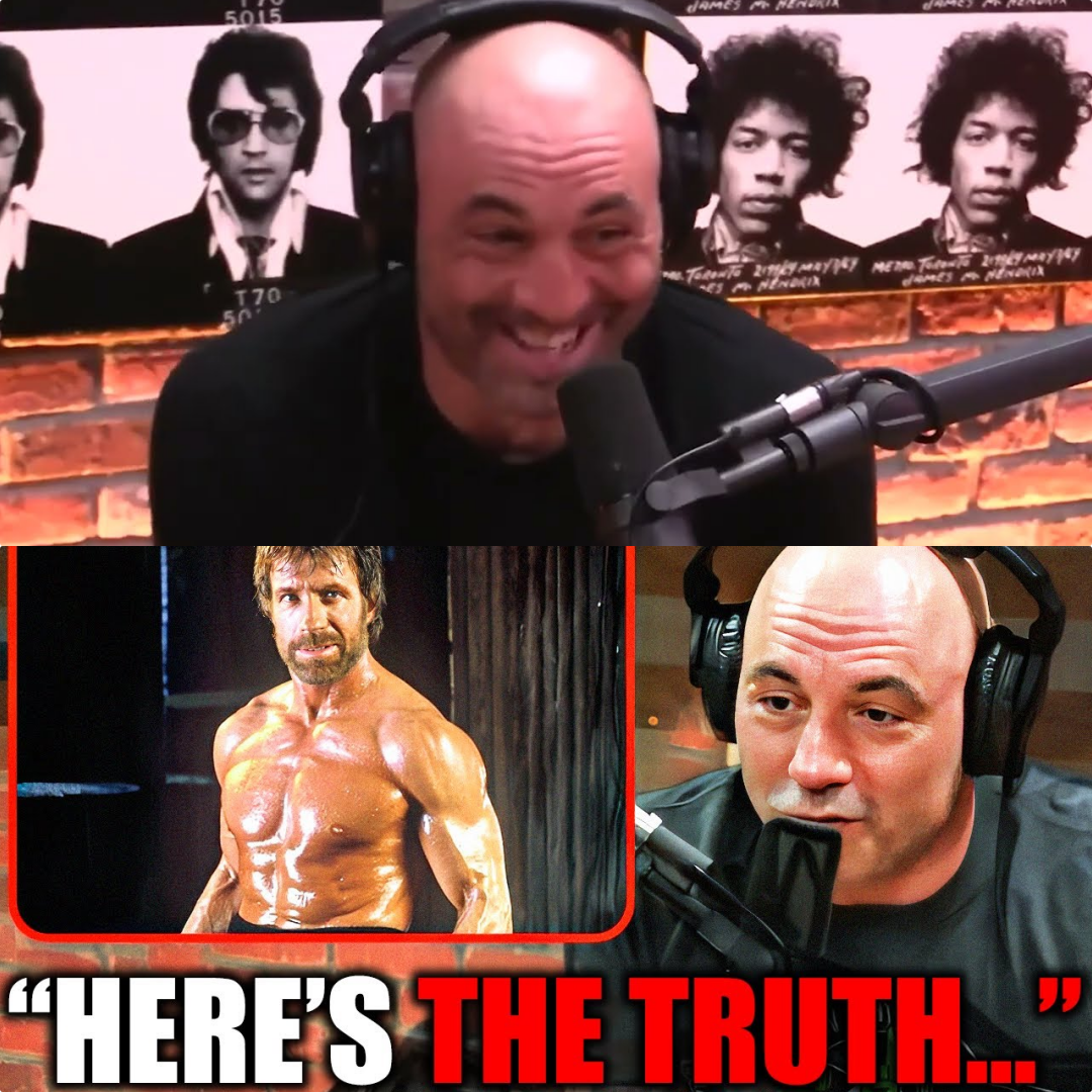 The Reality Behind Chuck Norris the Internet Legend