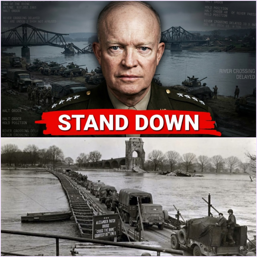 Why Eisenhower Stopped the Rhine Crossing That Would Have Ended the War
