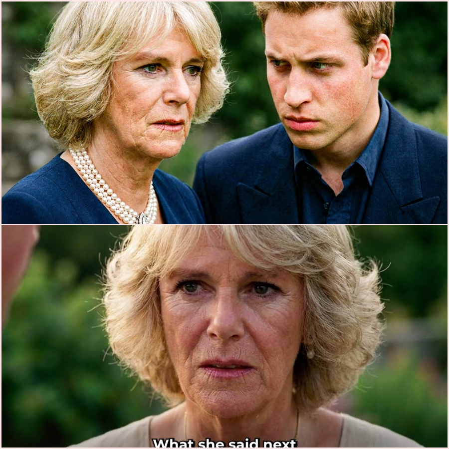 William Found Camilla Wearing Diana’s Private Jewelry — No One Expected What Followed – HT