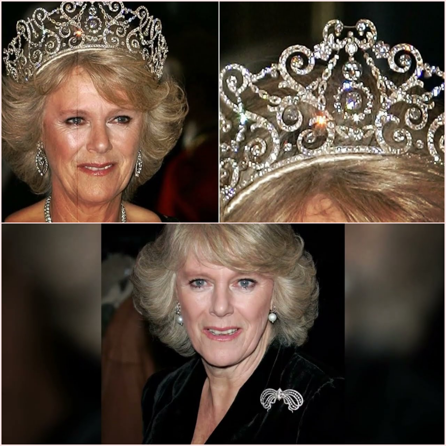 She Wasn’t Meant to Wear These: How Camilla Entered the Royal Vault HT