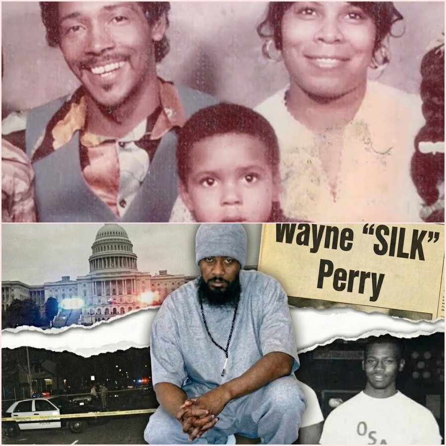 Too Dangerous For Hollywood: The DC Hitman Who Owned a City ht