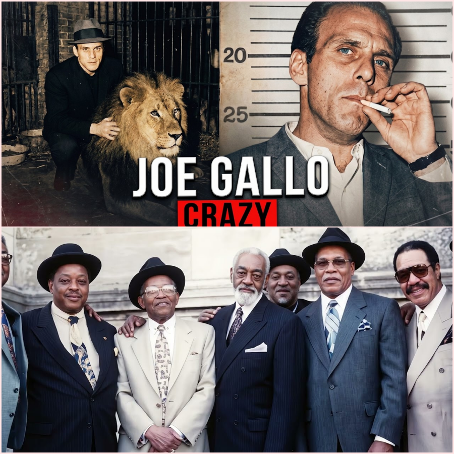 Crazy Joe Gallo: The Mobster Who Brought a Lion to a Mafia Meeting – HT