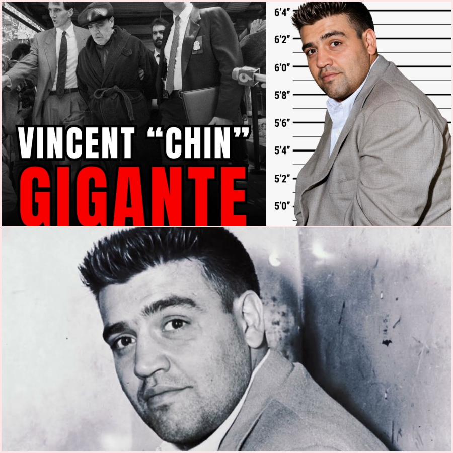 The Insane Life of Vincent “Chin” Gigante: The Oddfather Who Fooled the FBI – HT