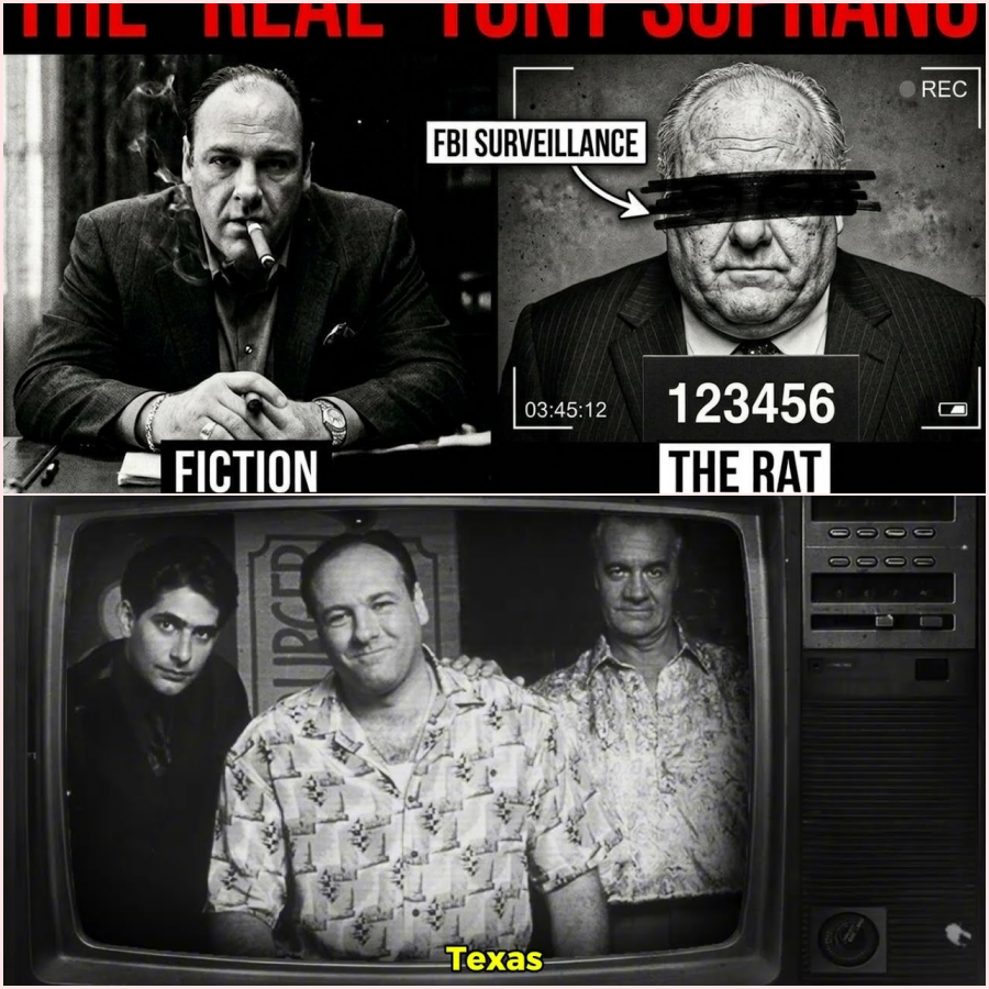 THE SOPRANOS Got It Wrong — The Real Tony Soprano Became A Rat And Nobody Talks About It – Ht