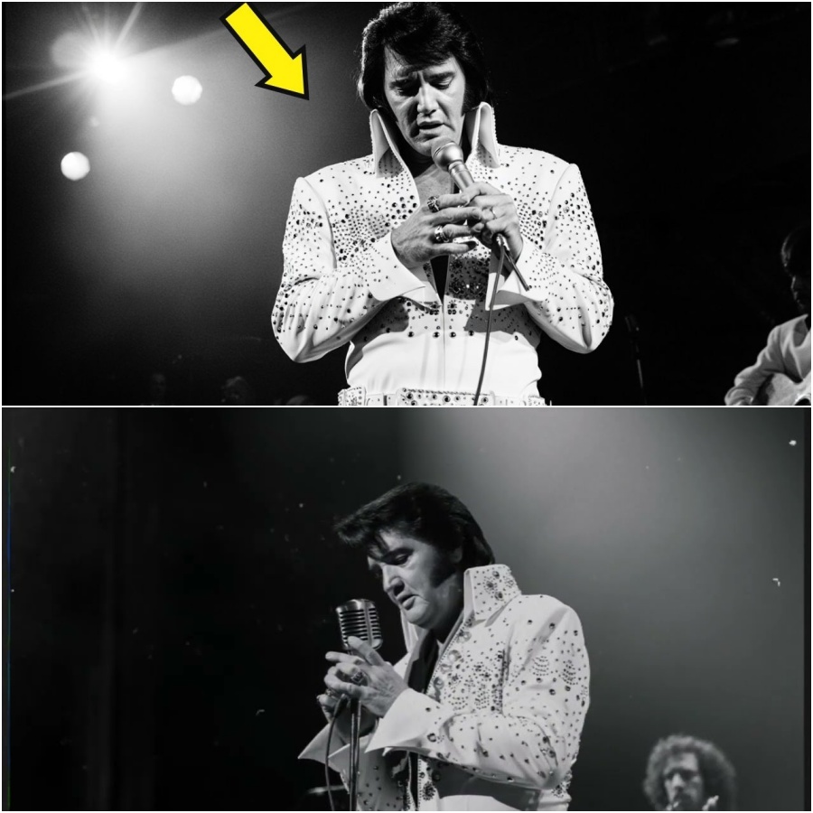 Elvis STUNNED everyone when he admitted who “Always on My Mind” was really for DD