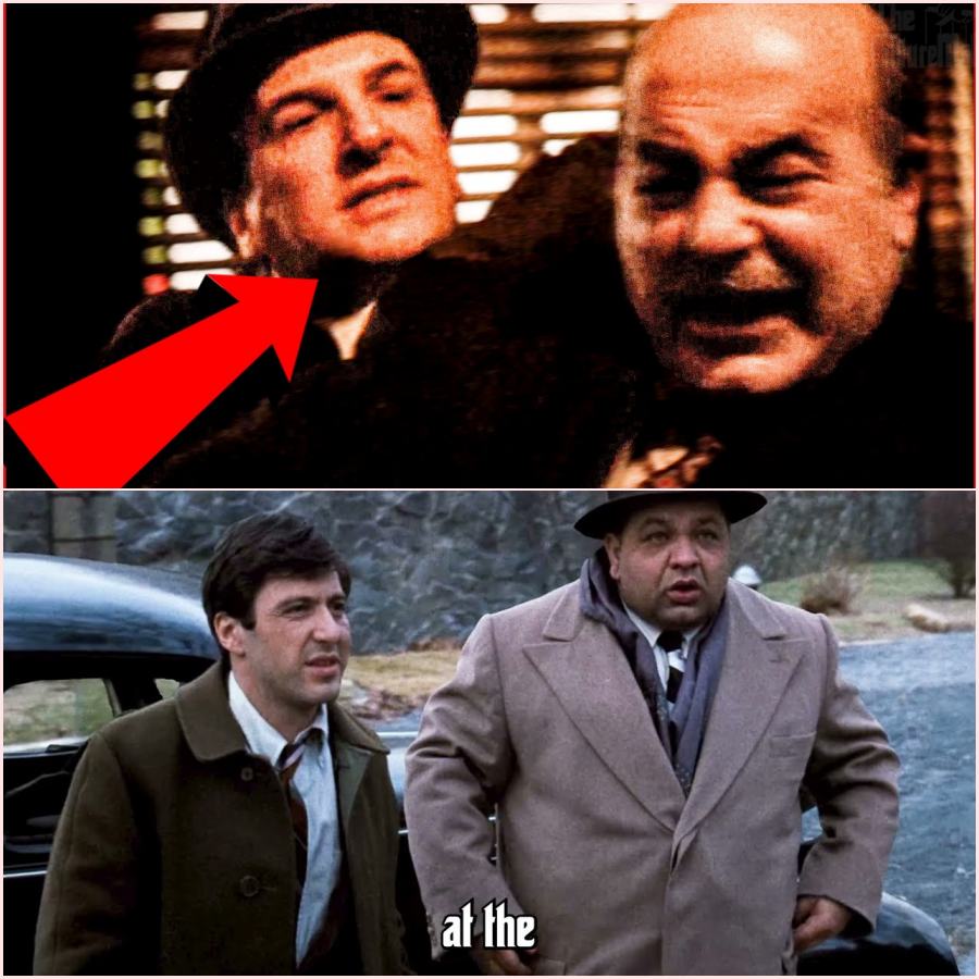 Who are the Rosato Brothers? | The Godfather Explained ht