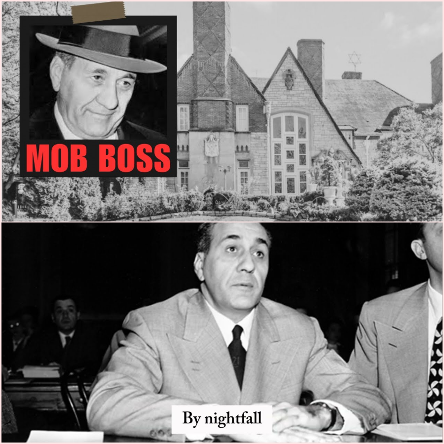 They Broke Into a Mafia Boss’s House… None of Them Survived – ht