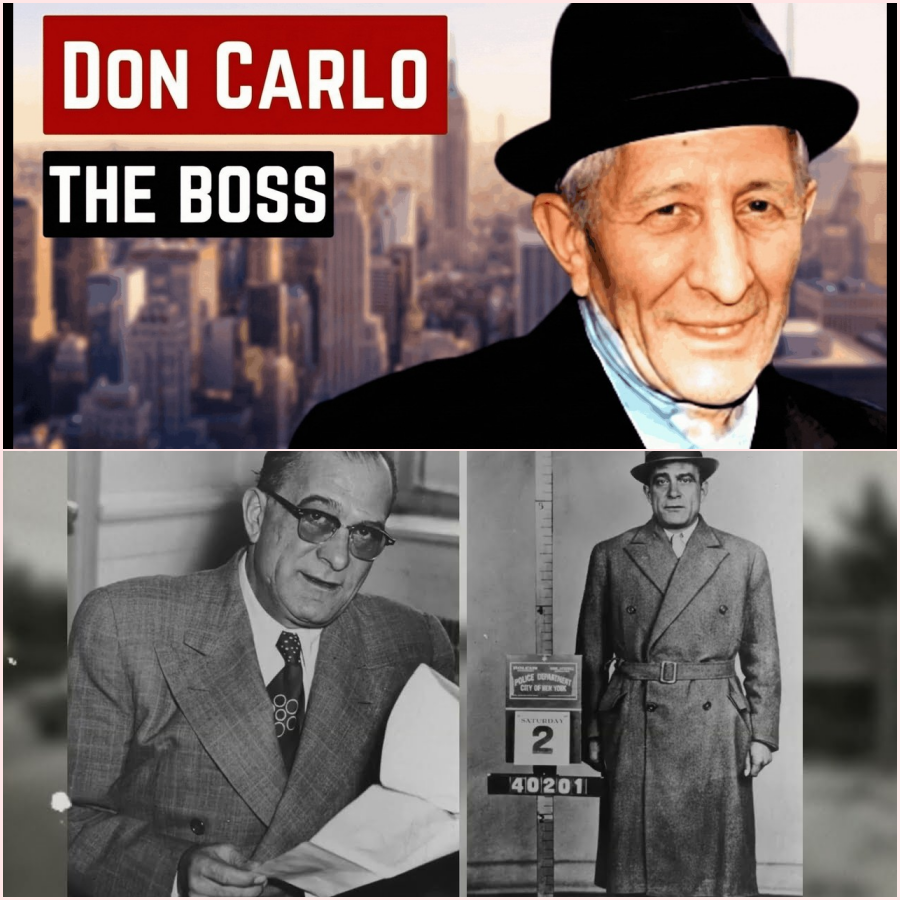 How Carlo Gambino Built The Mafia’s Biggest Empire In Silence – ht