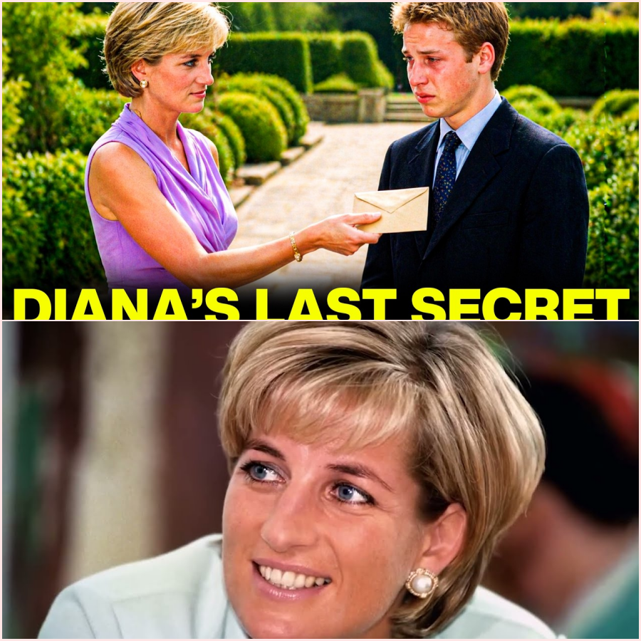 Diana Gave THIS to William on Her Last Night — He Never Spoke About It Until Now – HT