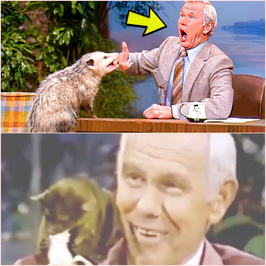 The Most SHOCKING Animal Moments On The Tonight Show ht
