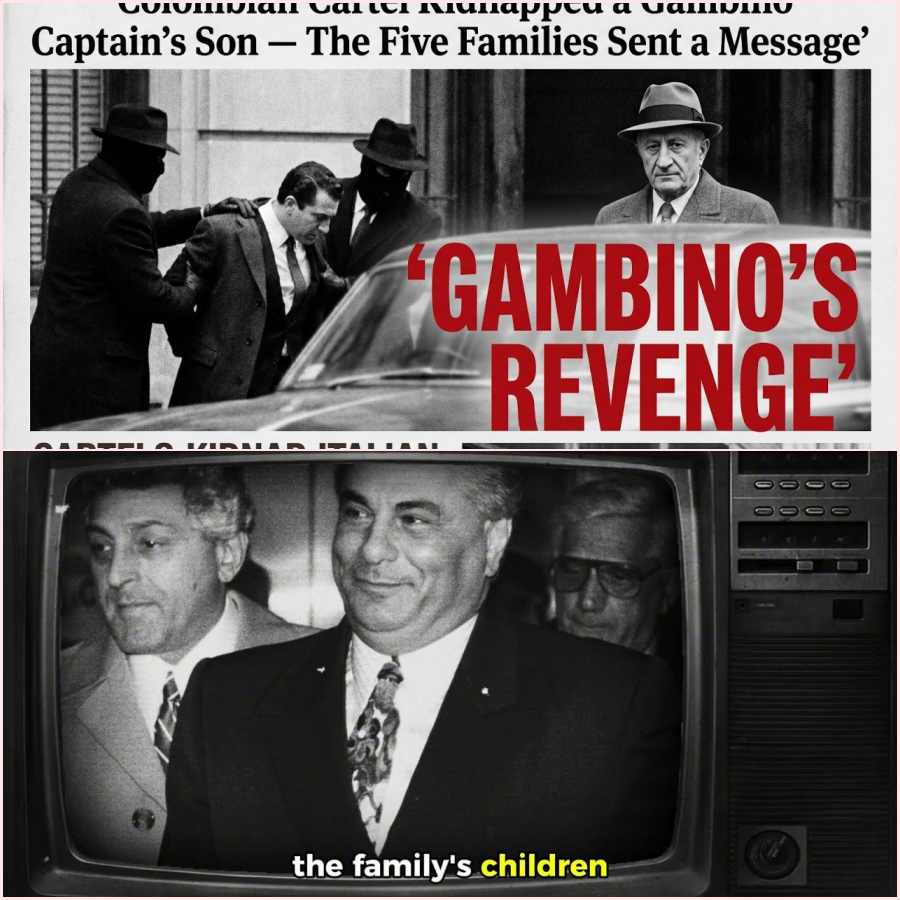 Colombian Cartel Kidnapped a Gambino Captain’s Son — The Five Families Sent a Message – ht