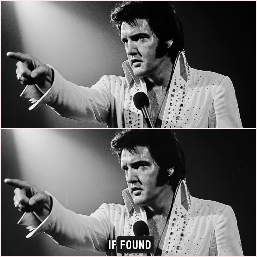 Elvis Stopped Concert When He Saw THIS in Audience — Security Couldn’t Believe It – ht