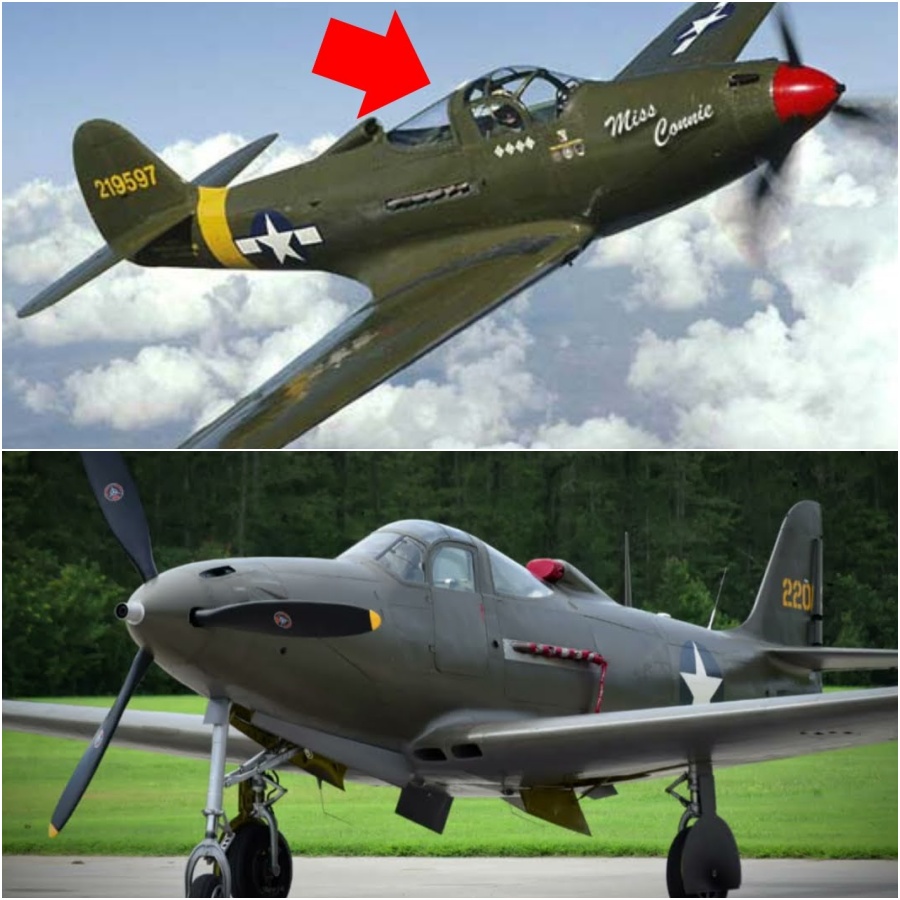 German Pilots Laughed at the P 39, Until Its 37mm Cannon Fired Through Their Engine Blocks DD