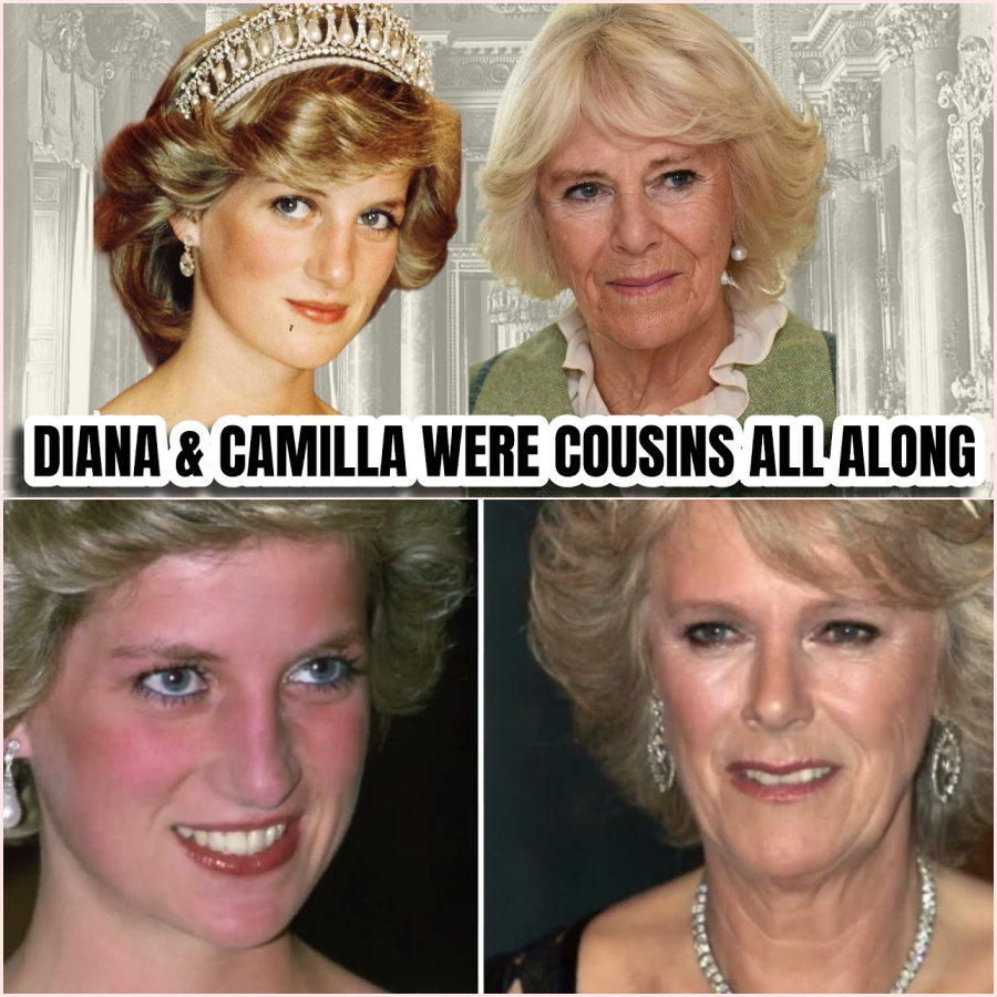 The Hidden Ancestry: Investigating the Shared Shand Bloodline of Diana and Camilla – HT