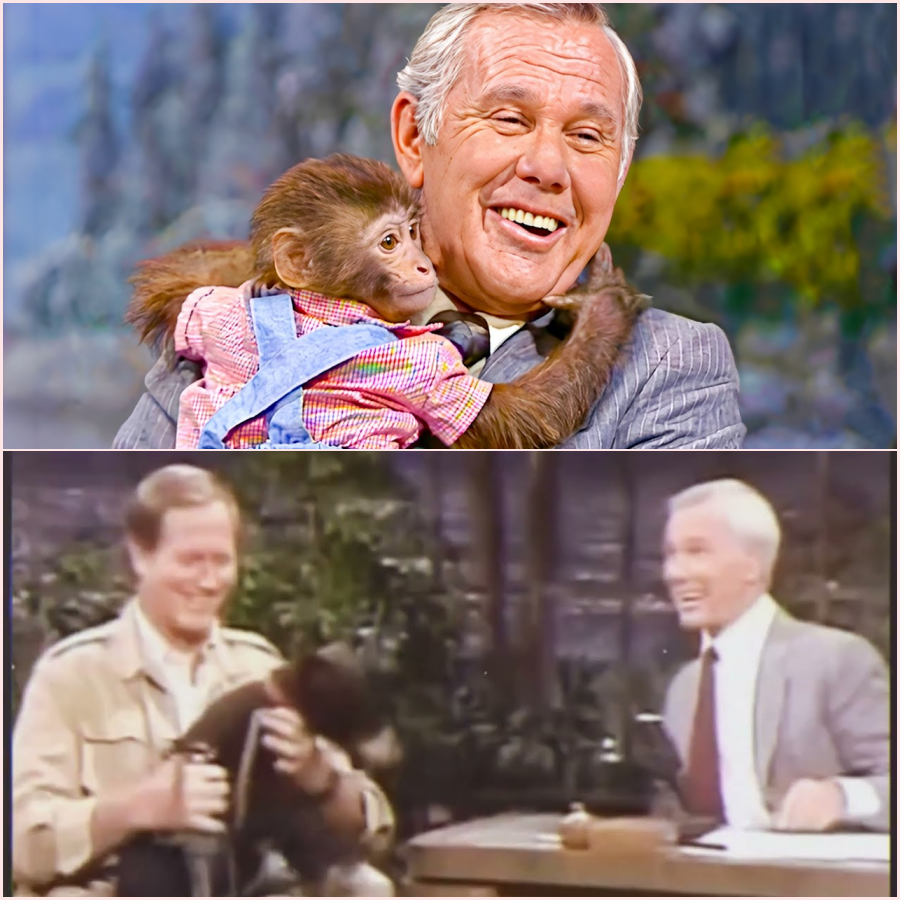 The CUTEST Animals On The Tonight Show – ht