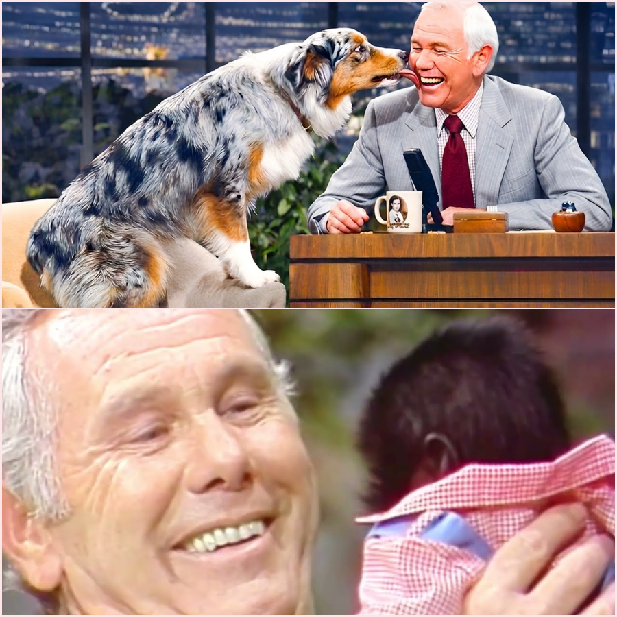 The Most FUNNY Animals On The Tonight Show ht