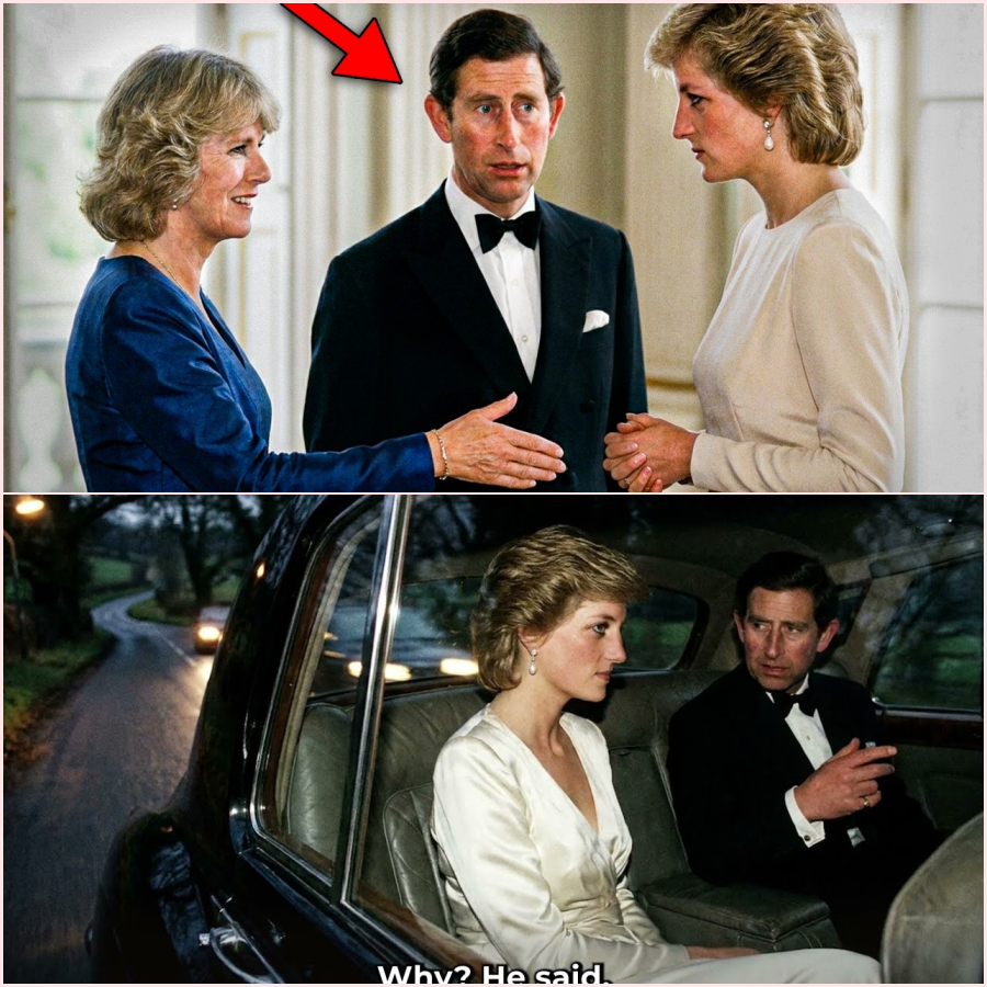 Princess Diana Ignored Camilla’s Hand in Front of Charles — No One Expected What Followed HT
