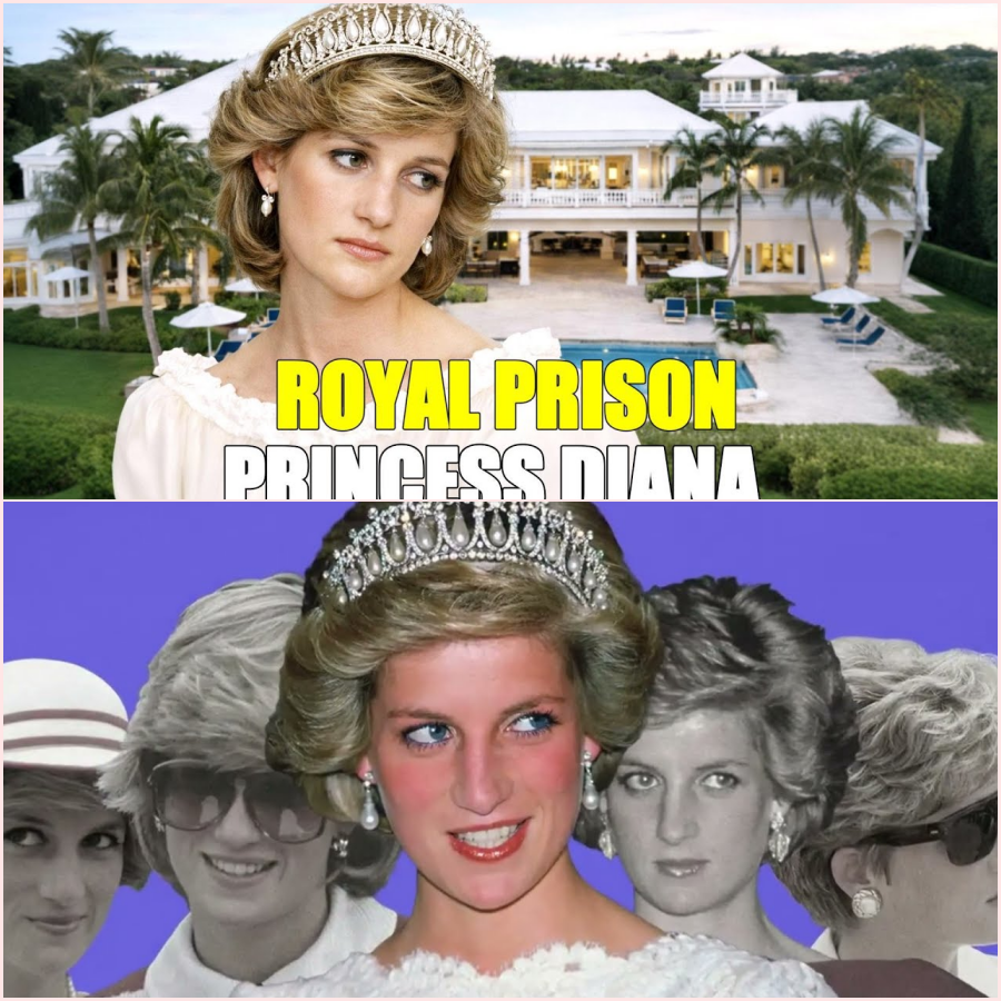 The Heartbreaking Journey of Diana, Princess of Wales HT