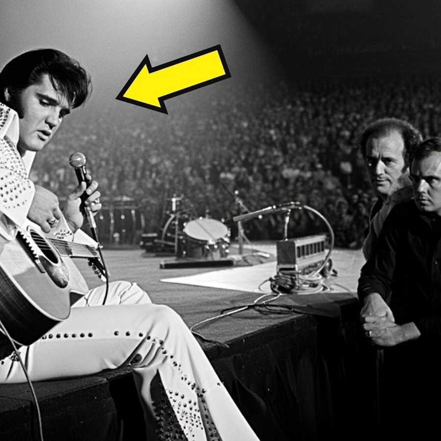Elvis Fired His Band On Stage — What He Did Seconds Later Shocked Everyone D