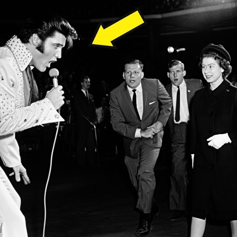 Elvis Stopped the Concert When Queen Elizabeth Appeared — Security Didn’t Expect This D