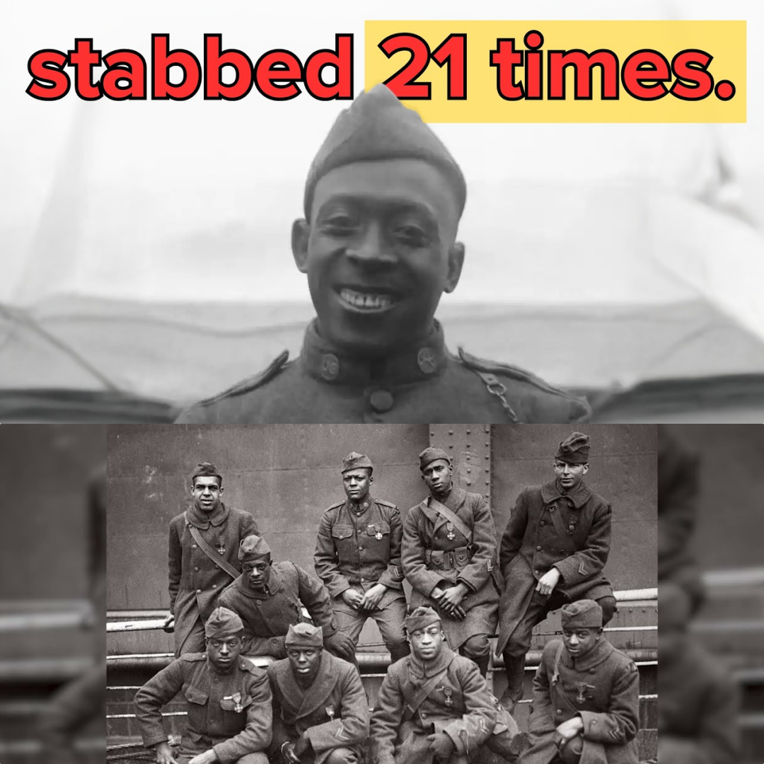 The Unbreakable Spirit: The Heroic Rise and Tragic Erasure of Henry Johnson, the Soldier America Tried to Forget JJ