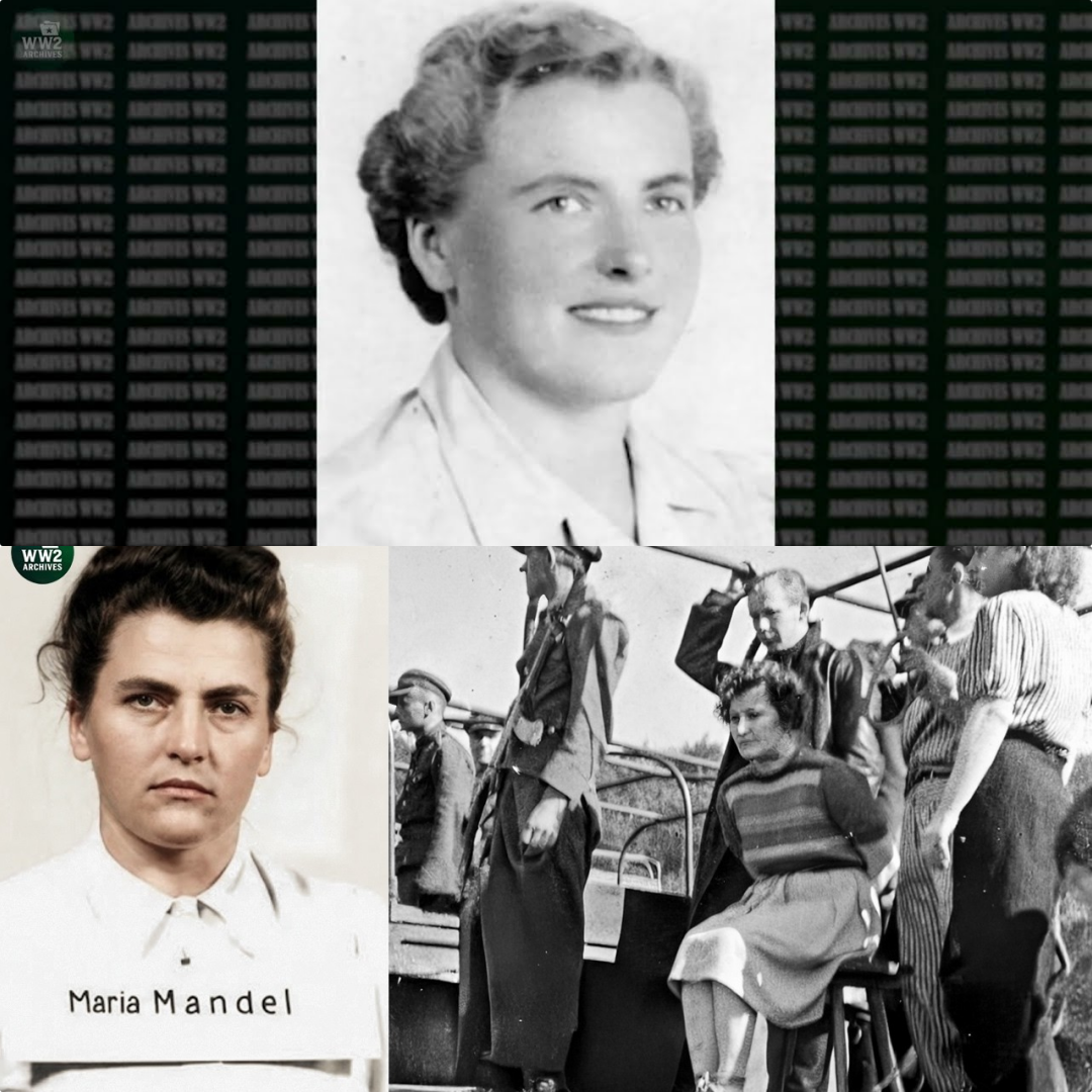 She Cried & Screamed: Execution of Female Nazi Guard who Destroyed 100,000 – Maria Mandl JJ