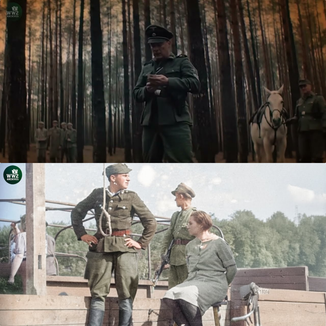 Public Executions & Horrific Crimes at Stutthof Concentration Camp: Hard to Watch JJ