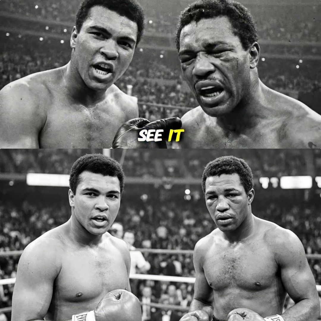 Muhammad Ali Asked “What’s My Name?” Every Round… Ernie Terrell’s 15-Round Punishment Was BRUTAL JJ