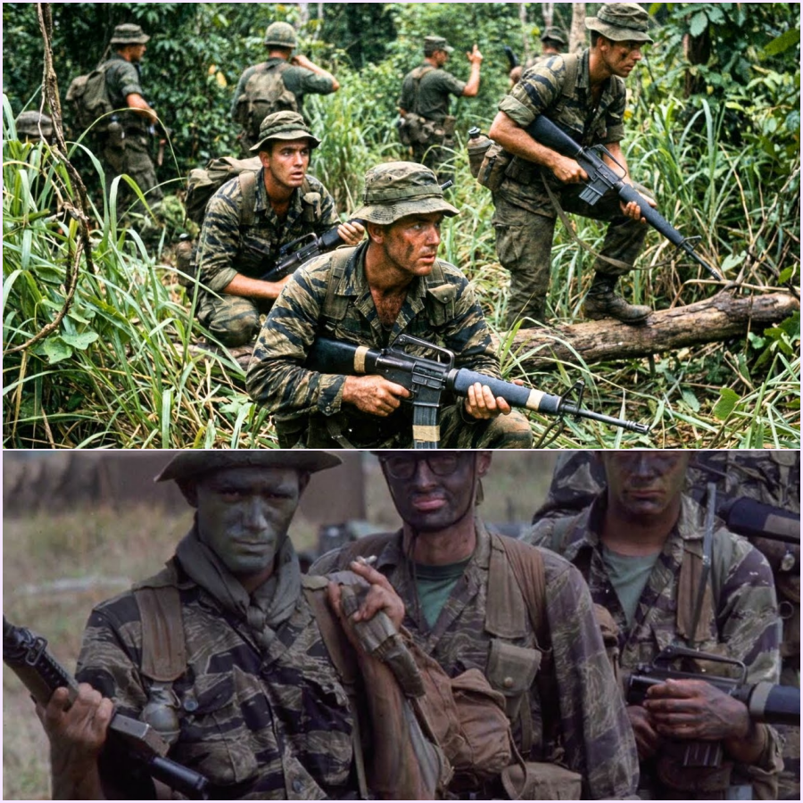 The Pattern That Made LRRPs Optically Invisible