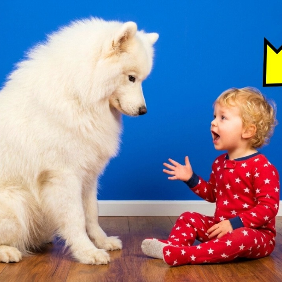 Baby Talks For Hours Only To The Dog. What Doctor Finds Leaves Mom In Tears!